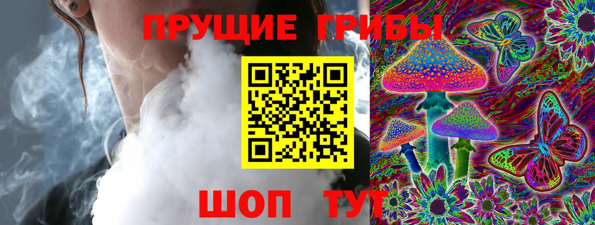 Сарапул  Псилоцибиновые грибы MAGIC MUSHROOMS  Вход с VPN 