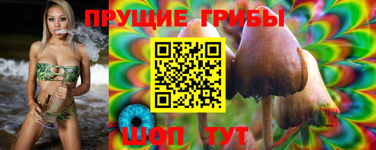 Псилоцибиновые грибы Cubensis Сарапул